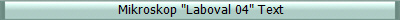 Mikroskop "Laboval 04" Text